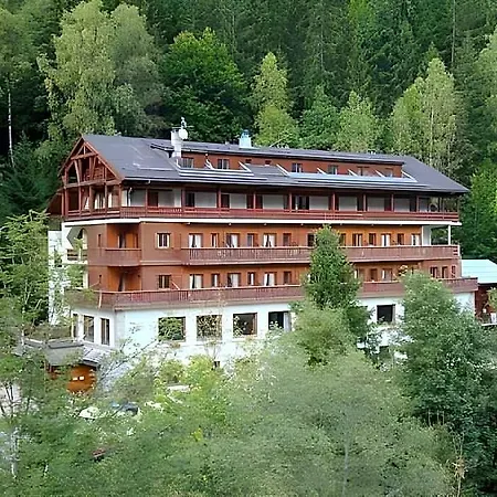 Les Campanules